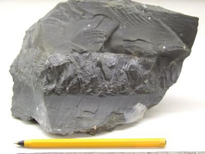 Concretion Llanidloes Bypass Bill Bagley Rocks and Minerals